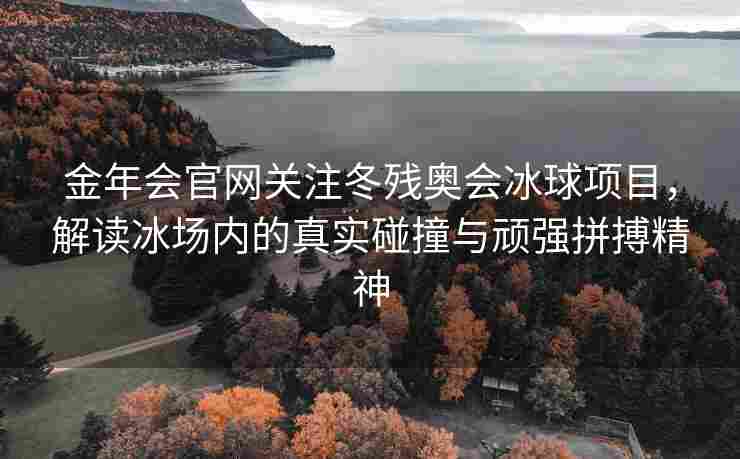 金年会官网关注冬残奥会冰球项目，解读冰场内的真实碰撞与顽强拼搏精神